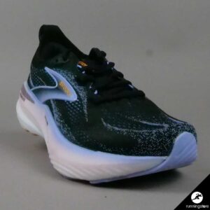 GLYCERIN GTS 22 W